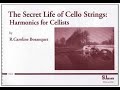 The secret life of cello strings 32 over the sea to skye