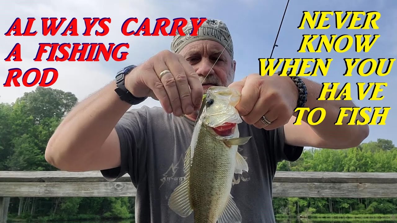 Fish Always THERE'S ALWAYS TIME FOR FISHING! - YouTube