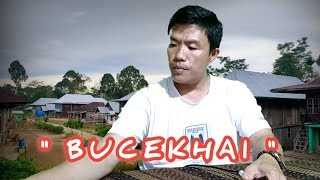 Bucekhai Cipt Arifin  Cover Mamak Halom   Musik Karaoke By  Sanggar Bumi Sekala Egc
