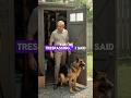 HOA President Entered My Shed — My Police K9 Cornered Him