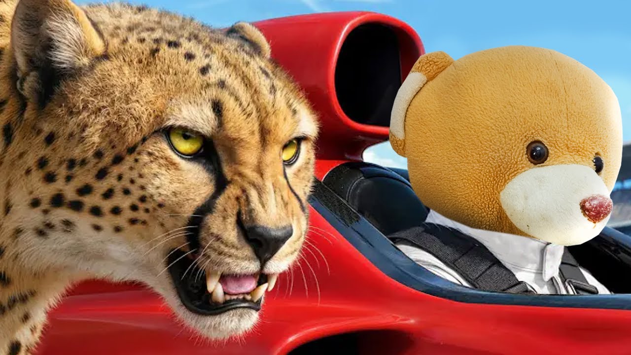 O carro mais rápido do mundo VS um guepardo!