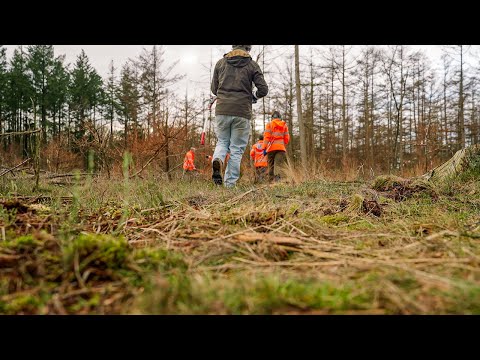 Team landschap en natuur geeft weer kleur aan de Veluwe