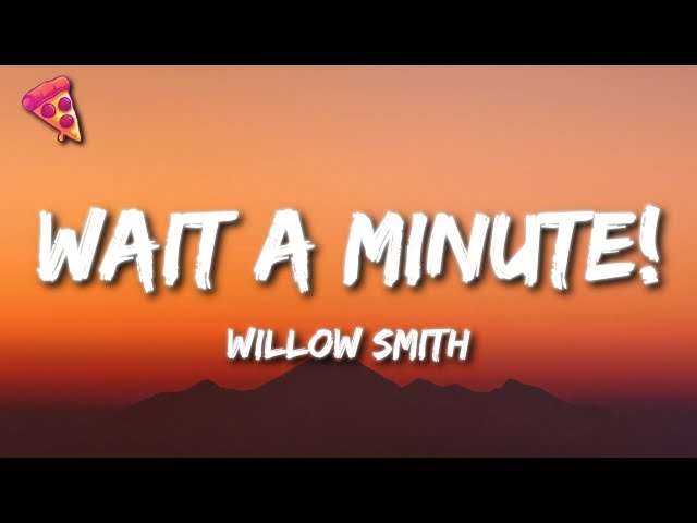 Willow Smith - Wait a Minute! class=