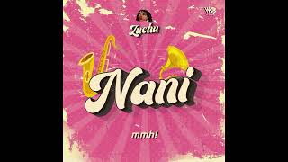 @officialzuchu  - Nani (Official instrumental Audio) produced by Zunguigwe the sound guy