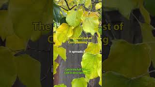 The One Habit That Slowly Destroys Peace #shorts #wisdom #aginggracefully  #lifeafter60