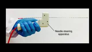 A Hand-Held Assistant for Semi-Automated Percutaneous Needle Steering