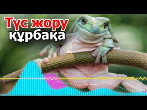 Олар оның ішіне кіреді Ол аяғымен оның жыныс мүшесін қысты