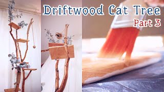 Making Driftwood Cat Tree for Kitten // Part 3 - Stands & Stain // Instructional ASMR Music Video by Ellie and Kola 702 views 3 years ago 3 minutes