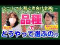 【家庭菜園初心者】ミニトマトを種から育ててみたいけど、何から始めたらいいの？【トキタ種苗】