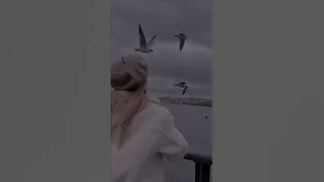 حالات واتس اب هادئة لطيفة 