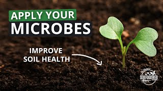 急速な土壌再生への3つのステップパート3：微生物を土壌と作物に適用する