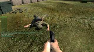 arma2 soldier snake funny bug