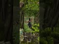 Relic run Tomb Raider 23 часть - Реликвия 28 подсказок