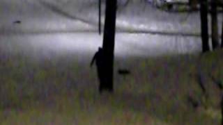 CIMG0535.AVI