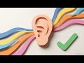 THE IELTS FOCUS  Listening Lexicon