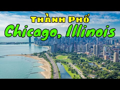 Video: Có bao nhiêu cây ở Chicago?