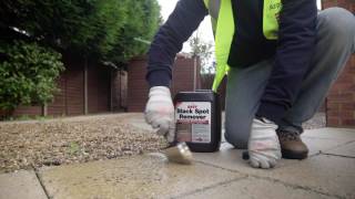 Applying EASY Black Spot Remover - For Patios, Paths and Drives screenshot 4