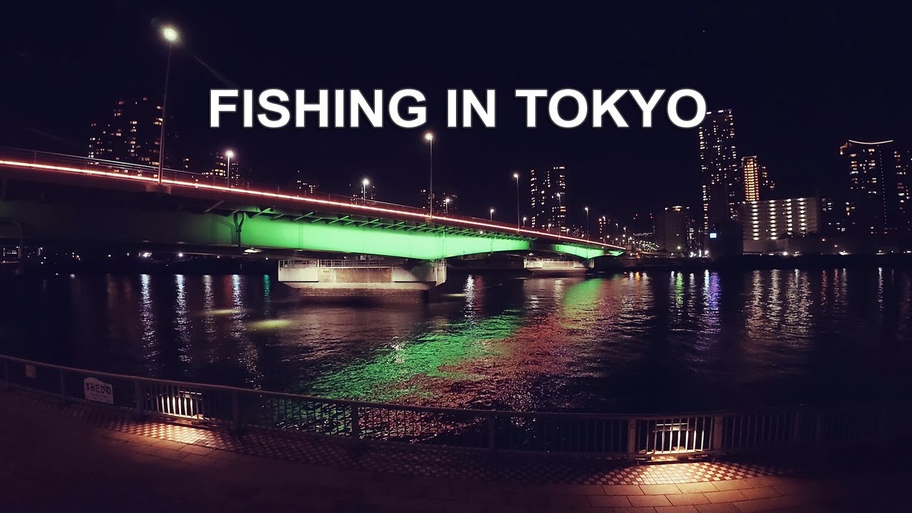 Fishing for Japanese Sea Bass in Tokyo