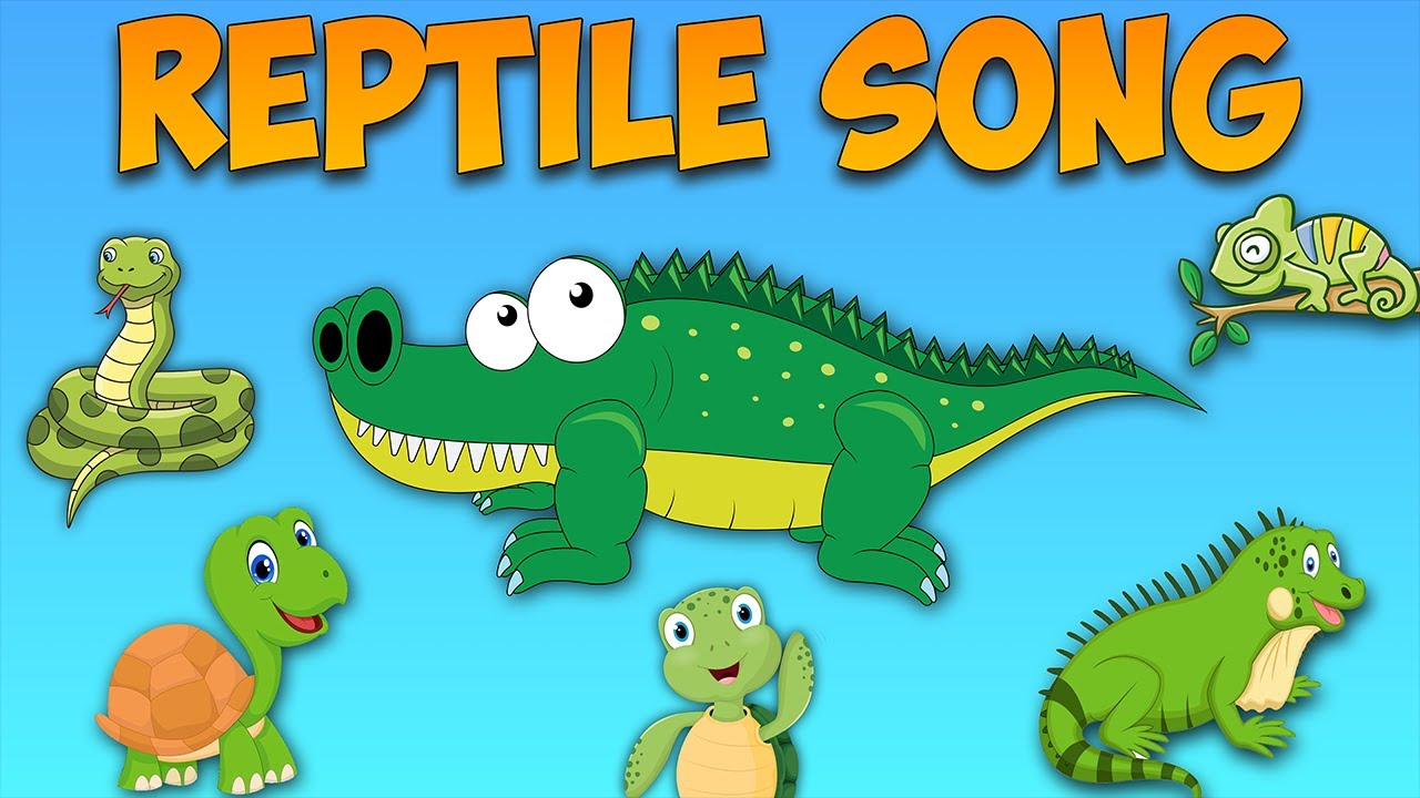 Reptile Song - YouTube
