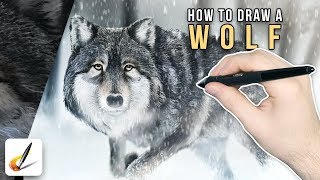 wolf draw digitally link