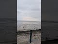 Beach | emptiness | Weekend roaming #southendonsea #london #uk