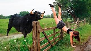 Download Lagu LOS MEJORES FRACASOS DE LA VIDA EN LA GRANJA 🚜🐄 FRACASOS DE ANIMALES DE GRANJA Y TRACTORES MP3