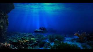 Th23 - Underwater