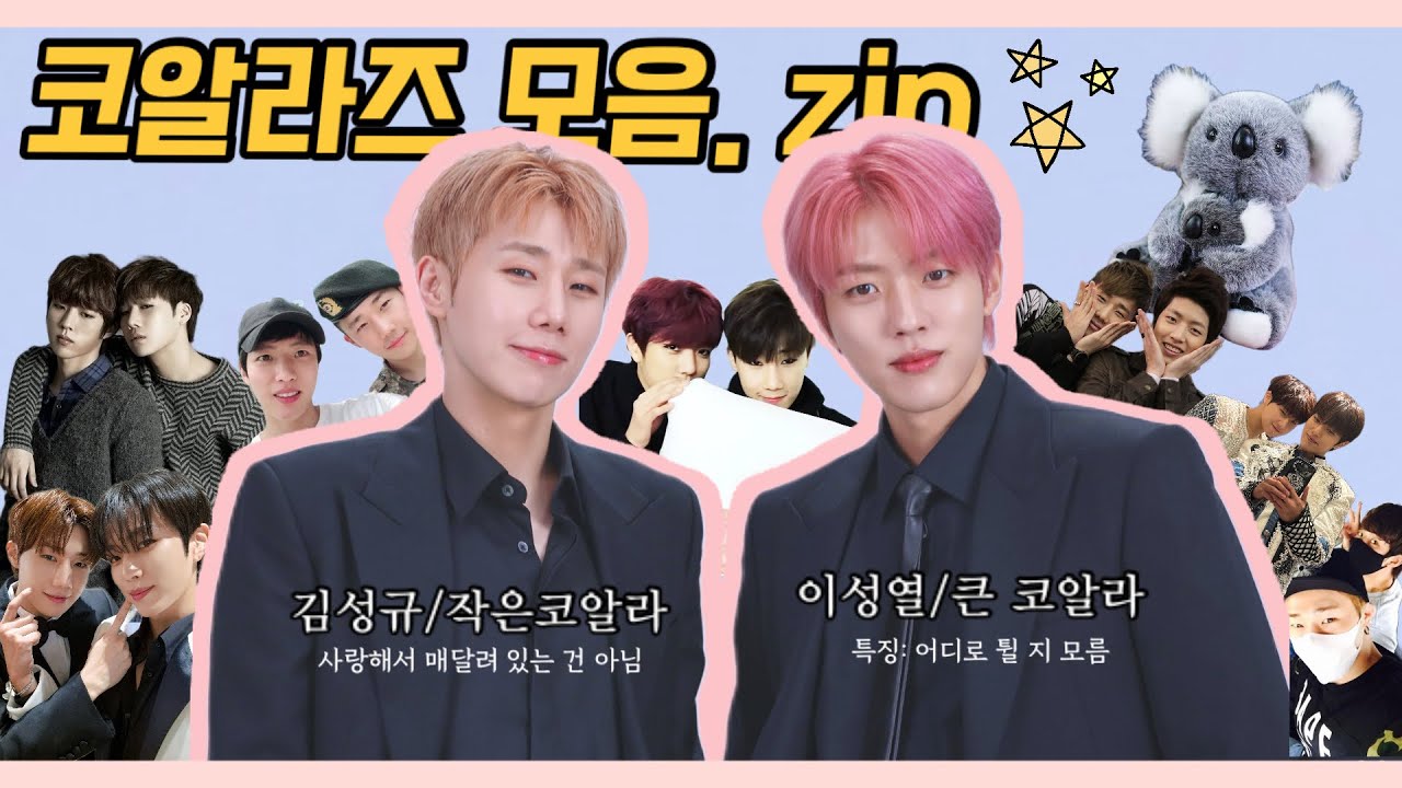 인피니트 코알라즈 모먼트