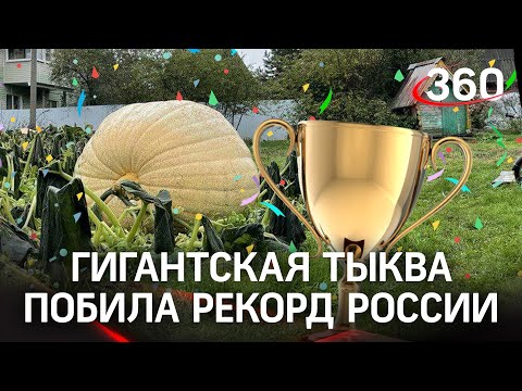 Тыква-гигант с рекордным весом выросла в Подмосковье