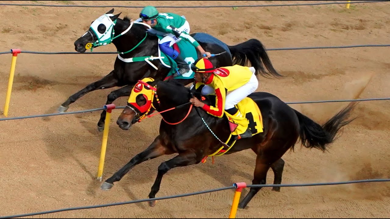 Especial: III GP HARAS GERMANO - Completo: Classificatórias e final