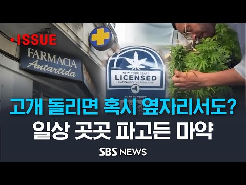 사람 많은 곳에 계십니까? 이중에 마약을 가지고 있는 사람이 있을 수도 있습니다 (이슈라이브) / SBS