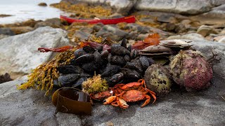 Coastal Foraging in Nova Scotia | Catch N&#39; Cook Island Camping