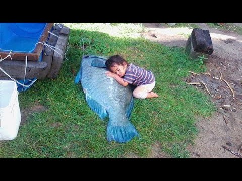 Fiji Fish Market 2023 - YouTube