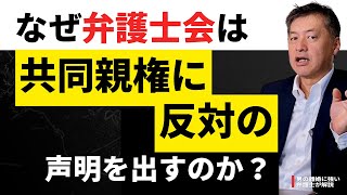 弁護士会はなぜ共同親権に反対の声明を出すのか？【共同親権に賛成の弁護士が怒る！】