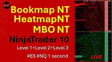 Bookmap Heatmap MBO NinjaTrader Volume Profile Orderflow https://my.bestorderflow.com/1.php