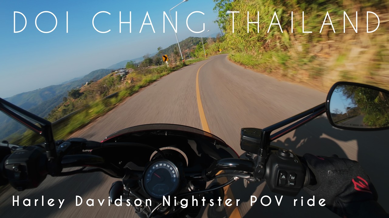 Just another mountain ride after coffee. / Harley Davidson Nightster / Pure Engine Sound / 4K