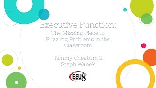 Executive Function: The Missing Piece to Puzzling Problems in the Classroom