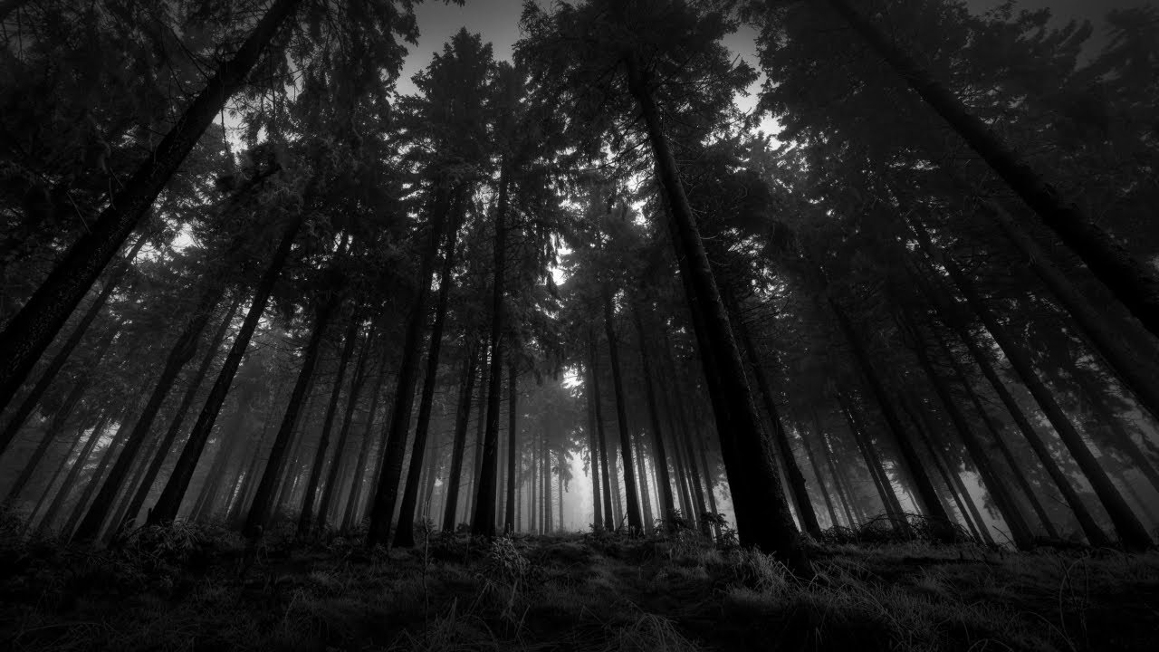 retina +hr 507pp post rework