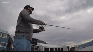 50 walleye worth $1,000 waiting to be caught in Lake Pend Oreille