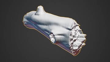 Sculpting a Fallen Log: Realistic Characters with Blender Workshop Pt. 4