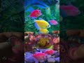 Candy Winnie the Pooh Water Gamebot #gaming #squidgame #satisfyingvideo #satisfying #toys