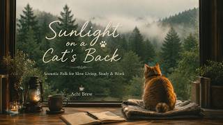 Sunlight on a Cat's Back | Gentle Folk Songs for Slow Living, Study & Work | Achi Music