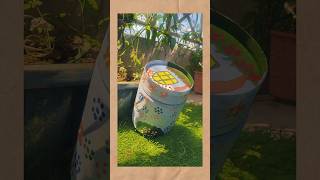 Ghibli Inspired Hand Painted Pot 🌸 | Acrylic Painting DIY | Aesthetic Garden Art ✨ #diy #shorts