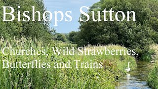 Bishops Sutton - A church, wild strawberries, butterflies and a steam train
