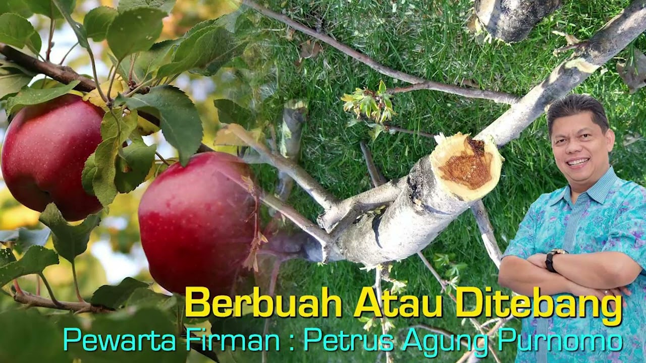 Berbuah Atau Ditebang - oleh Pdt. Petrus Agung Purnomo