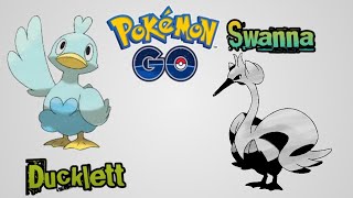 Evolution Ducklett to Swanna pokemon Angsa putih