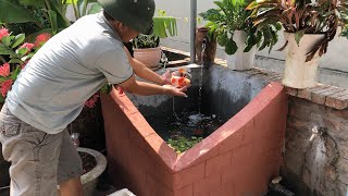 Direction to make a beautiful fish tank  with sand cement bricks