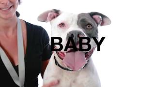 Adopt Baby at NKLA