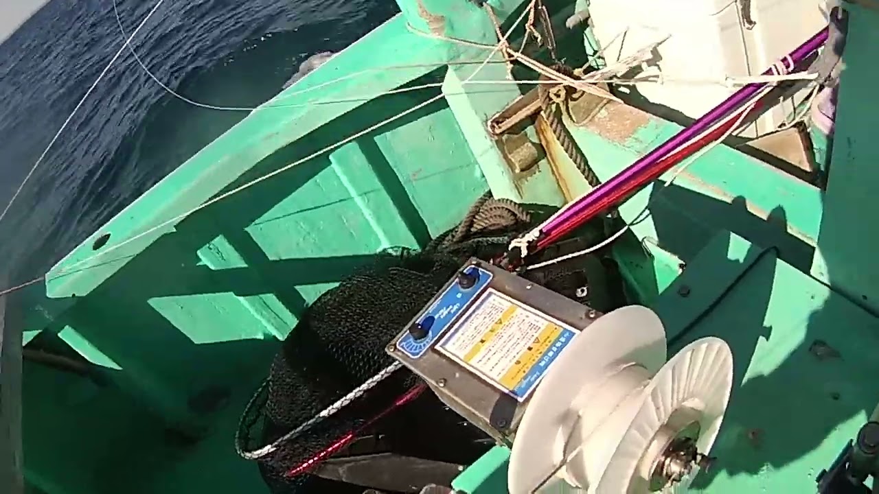 曳き縄漁　サワラ１