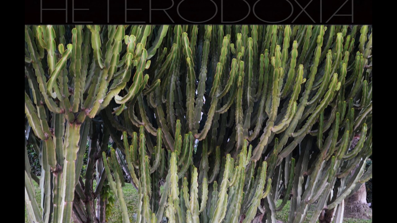 TRACK CHARLES - HH Survival (YELSINLEY)